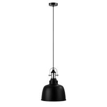 Eglo 202423A - 1L Pendant Light