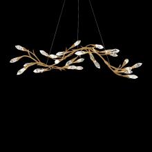 Schonbek 1870 S2456-26OH - Secret Garden 56IN LED 3500K 120V-277V Pendant in French Gold with Optic Haze Quartz