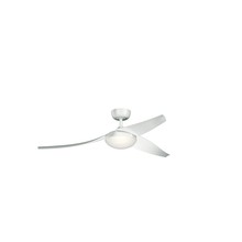 Ceiling Fans