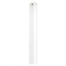 Fluorescent Light Bulbs